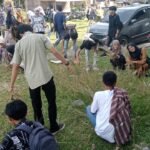 WhatsApp Image 2025-04-15 at 15.35.47